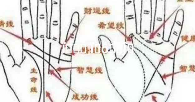 Ϊɶӻ̥ Ϊʲô̥ǵĴ˵